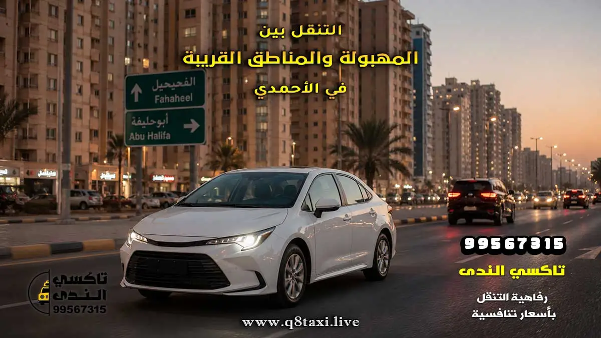 تاكسي المهبولة